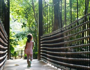 best parks for kids in singapore include jacob ballas children's garden at the singapore botanic gardens