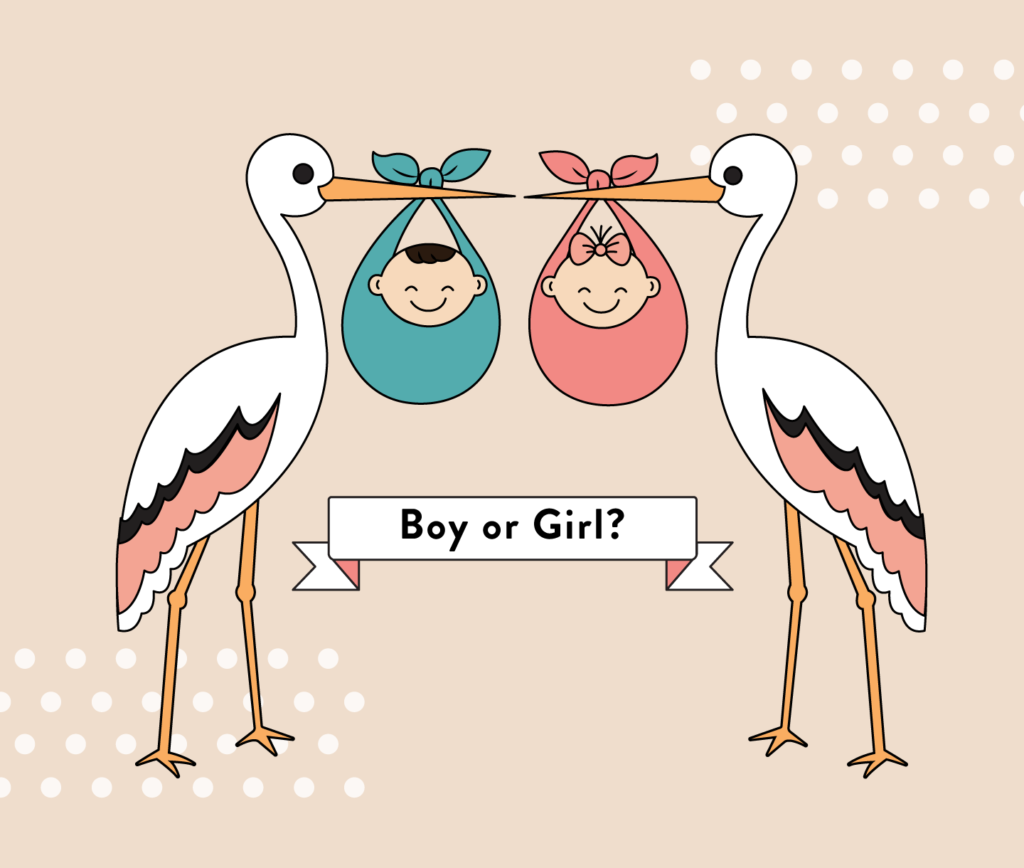 FREE Baby Gender Prediction Chart: Boy or Girl?