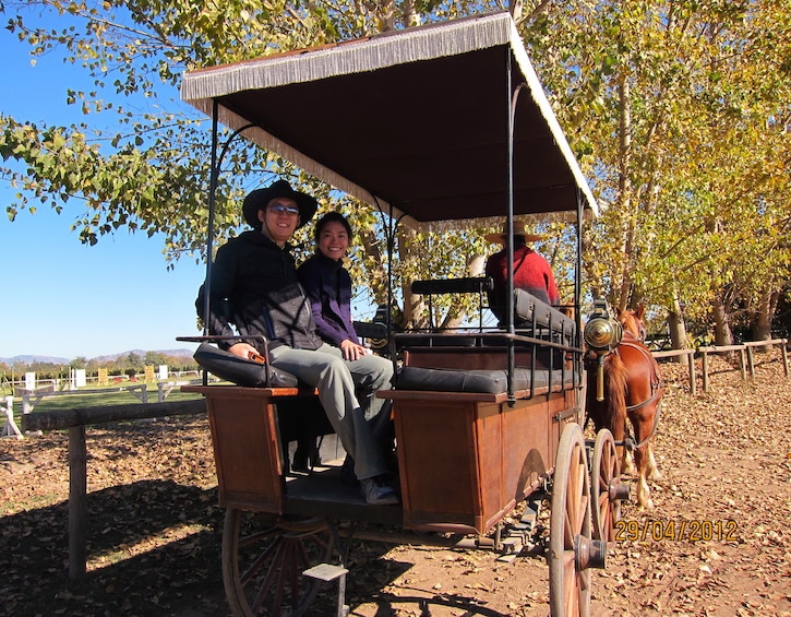 overseas mama christine ng husband horse carriage ride