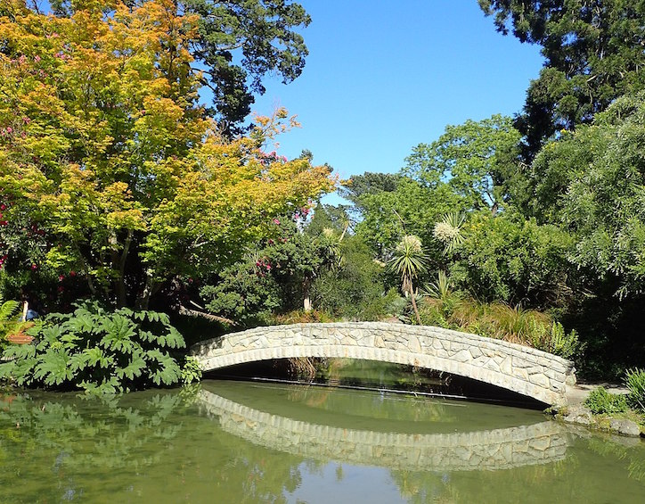 overseas singaporean mama christine ng recommends punting on the avon river in christchurch botanic gardens