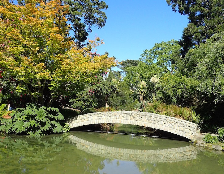 overseas singaporean mama christine ng recommends punting on the avon river in christchurch botanic gardens