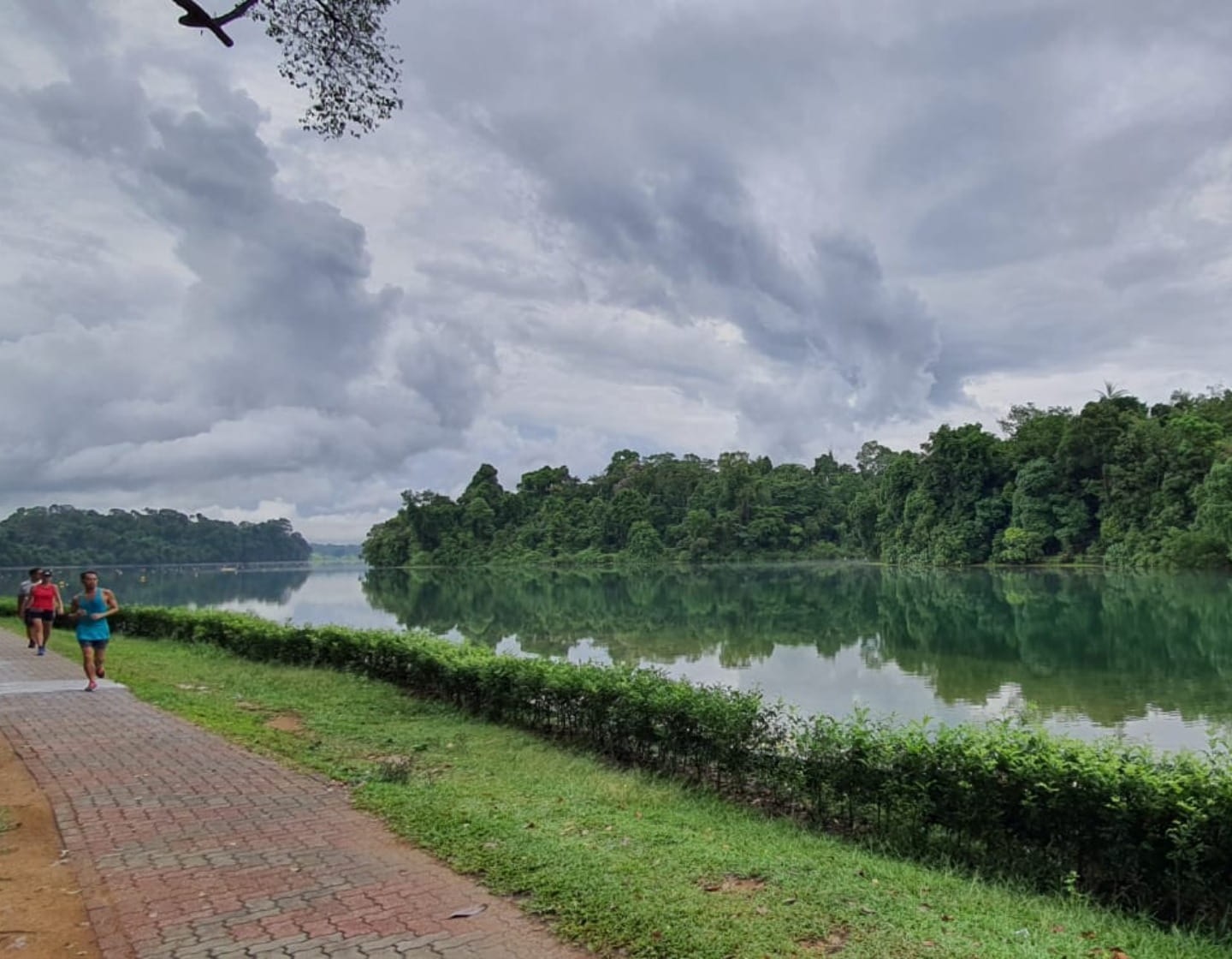 MacRitchie Reservoir