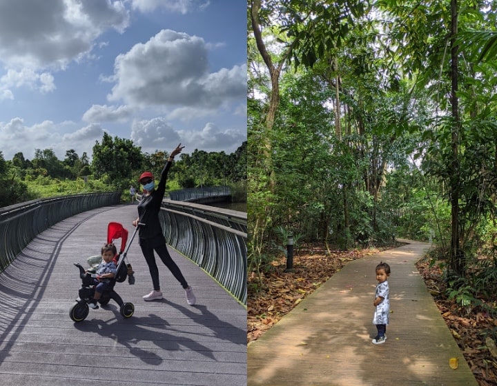 sungei buloh wetland reserve kids stroller