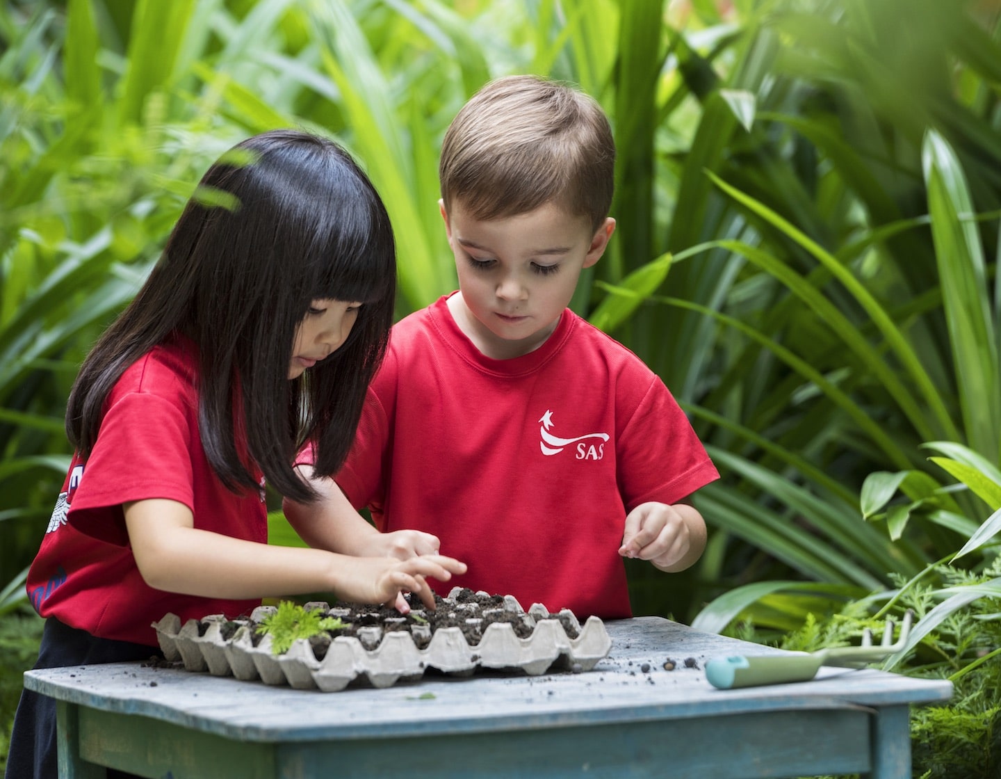 sas preschool outdoor learning garden