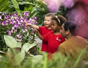 sas preschool children doing nature-based learning at the National Orchid Garden