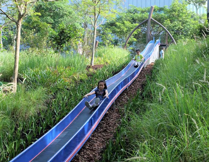 Admiralty Park Playground longest slide in singapore