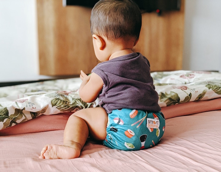 cloth diaper smart bottoms