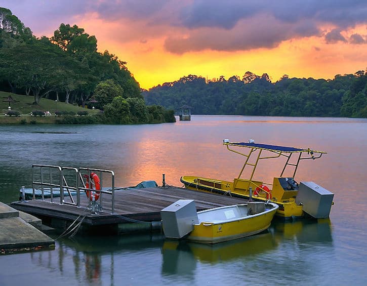 macritchie reservoir park boats sunset