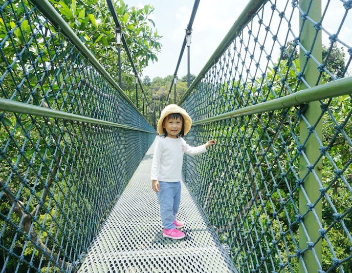 macritchie-reservoir