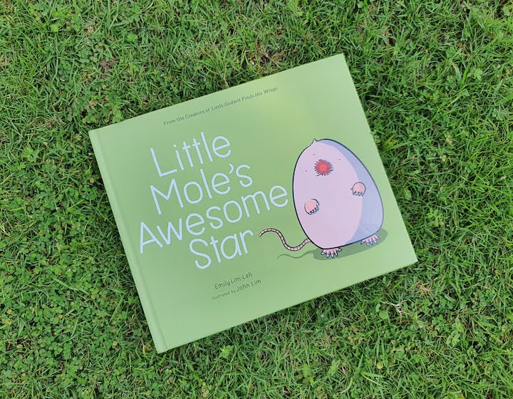childrens-books-singapore-little-moles-awesome-star