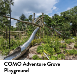All About Summer COMO Adventure at Botanic Garden
