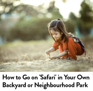 How to go on a safari in backyard neighbourhood park