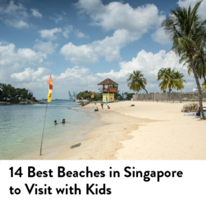 All About Summer 14 Beaches in Singapore