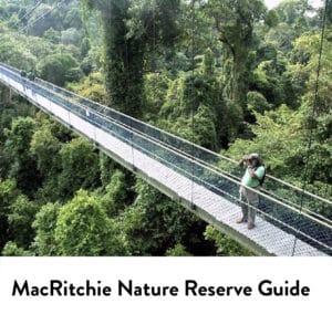 MacRitchie Nature Reserve