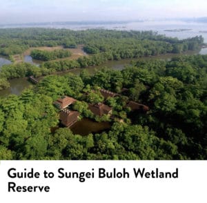 Sungei Buloh Wetland