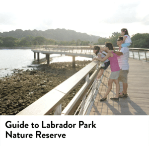 labrador_park_nature_reserve