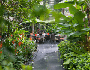 outdoor dining singapore alfresco restaurants melt cafe mandarin oriental