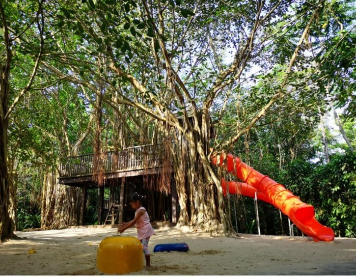 outdoor playground singapore jacob ballas children's playground in singapore botanic gardens