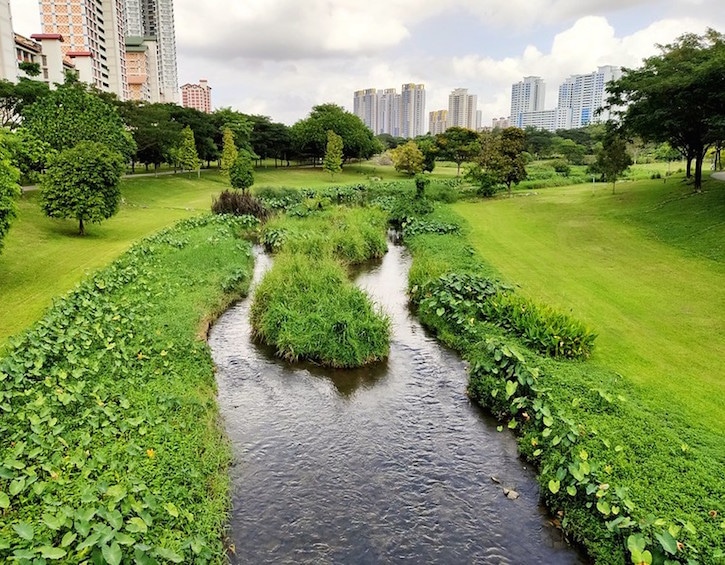 bishan ang mo kio park picnic spot