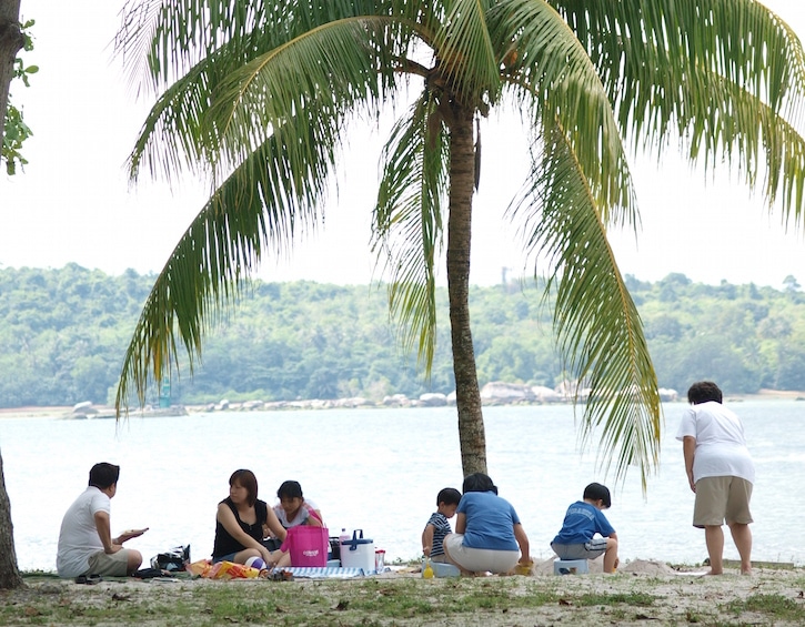 changi beach park picnic spot