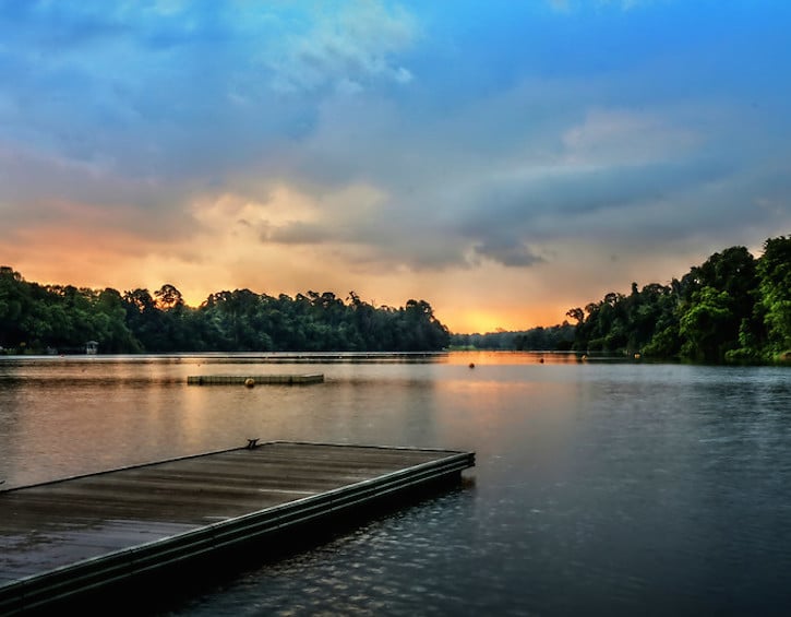 MacRitchie Reservoir Picnic Spots