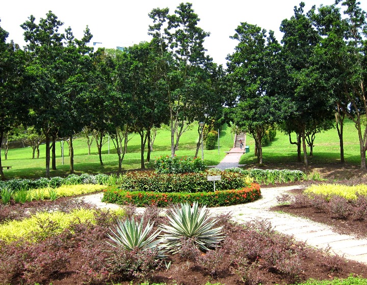 picnic singapore - Clementi Woods Park