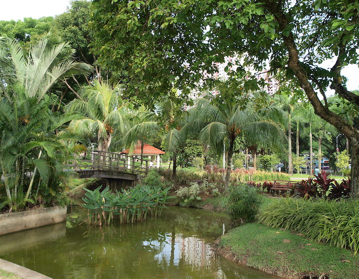 best picnic singapore tiong bahru park trees pond