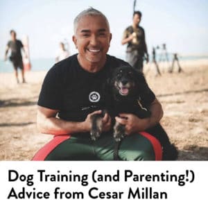 Dog Training Advice from Cesar Milan