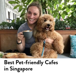 Best Pet Friendly Cafe in Singapore