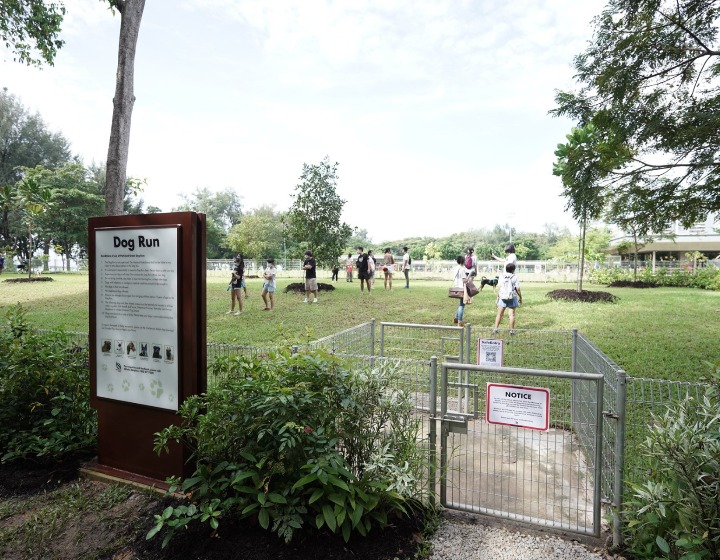 East Coast Park - Dog Run