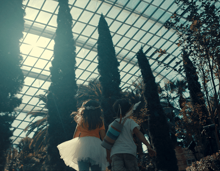 places to visit in singapore gardens by the bay cloud forest