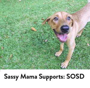 Sassy Mama supports SOSD