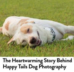 Heartwarming Story Behind Happy Tails Photography