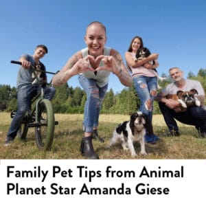 Family Pet Tips from Animal Planet Star Amanda Giese