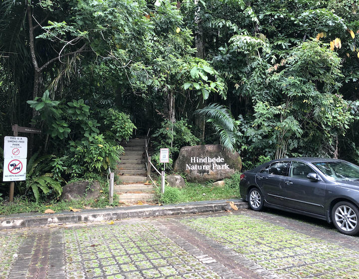 hindhede nature park from bukit timah carpark