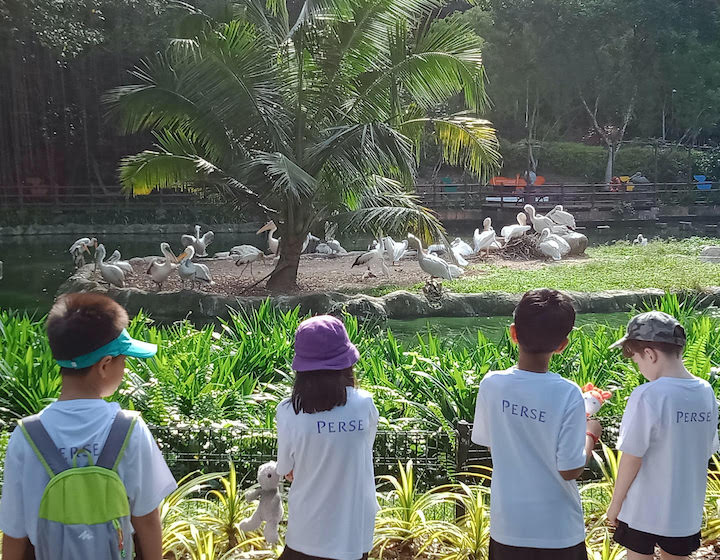 perse school curriculum primary years field trip to singapore zoo