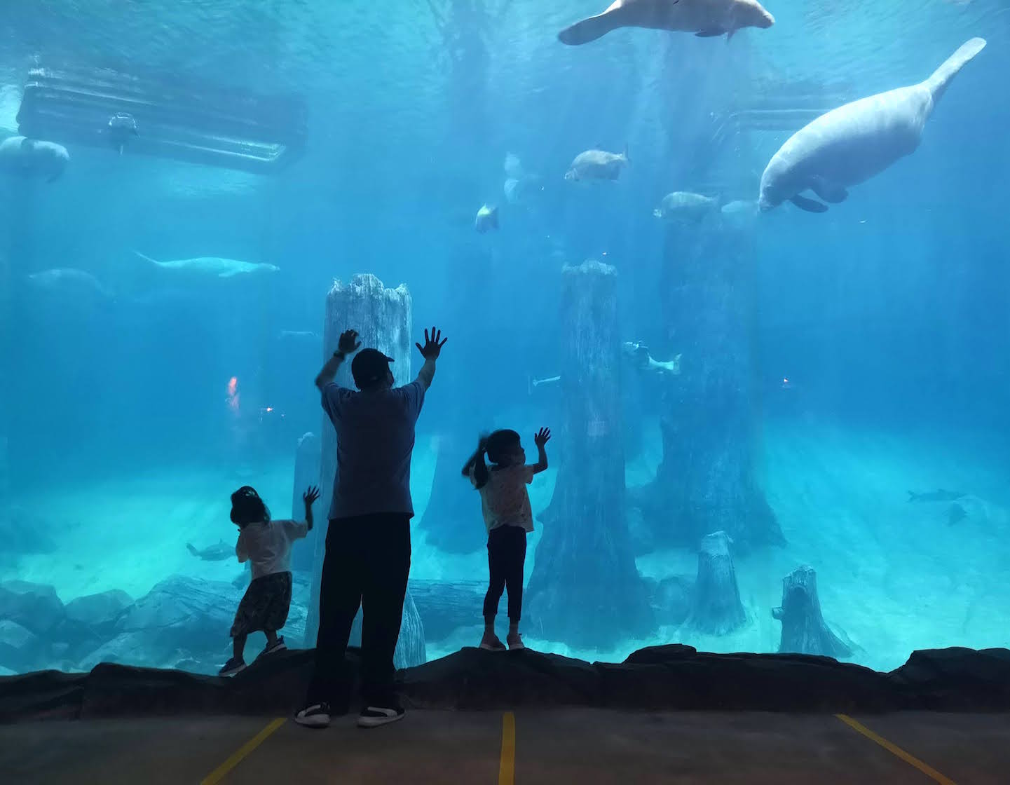 river safari singapore is a fun kids activity in singapore