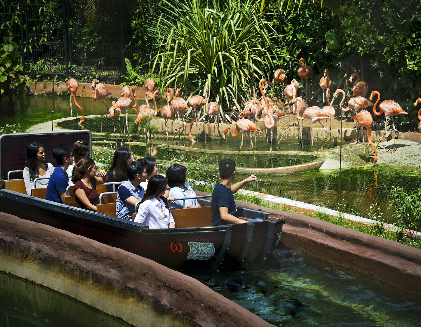 river wonders river safari singapore boat ride amazon river quest boat ride flamingoes