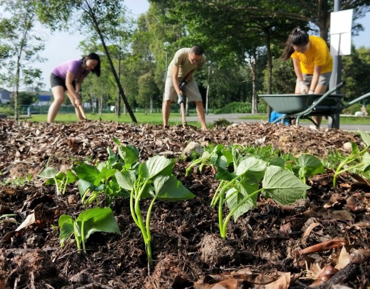 Garden Sharing Session by Foodscape Collective