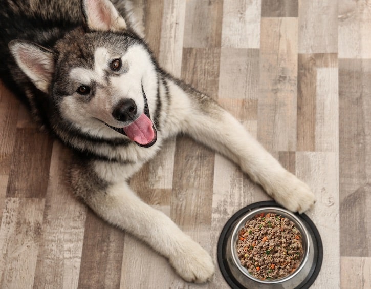 subscription box in singapore for pet food delivery
