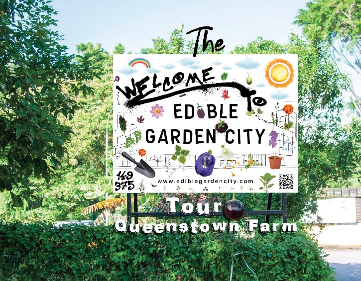 The Edible Garden City Tour - Queenstown Farm