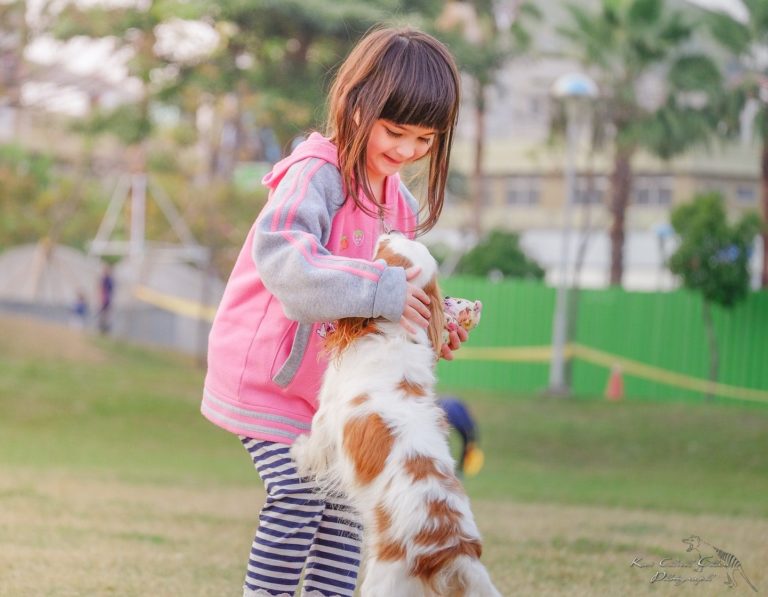 Family-Friendly Products Tried & Tested girl with dog