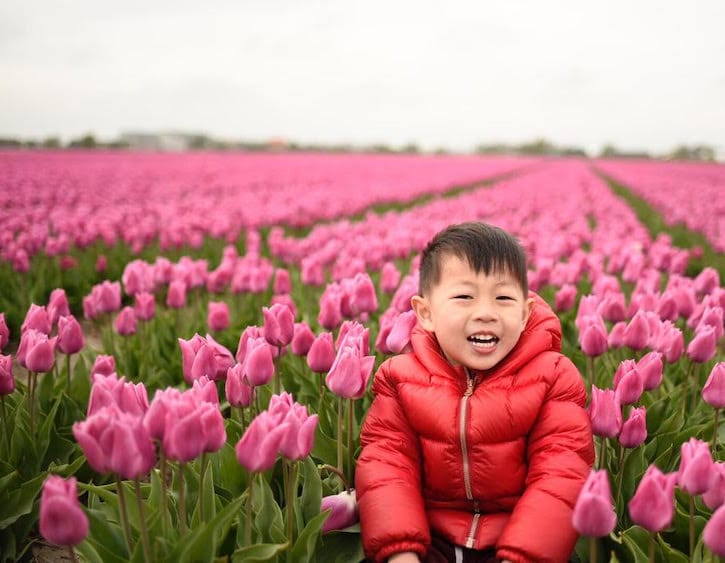 overseas mama jasmine lee