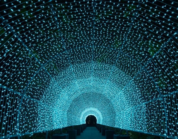 Christmas Wonderland - Path of Tranquility