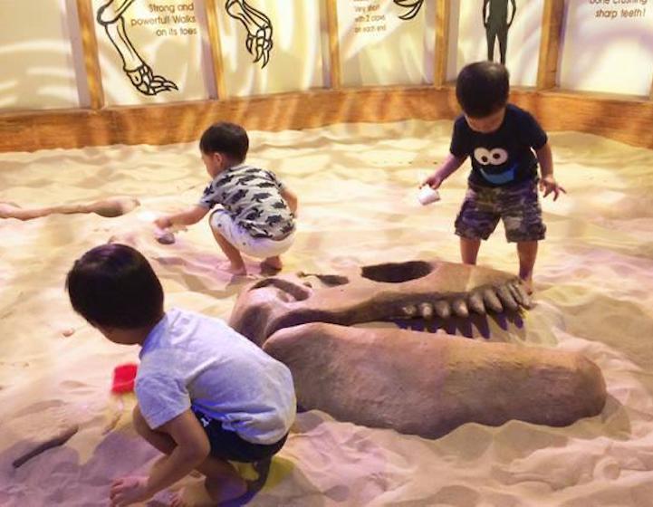 dinosaur park singapore - Kidsstop fossils 