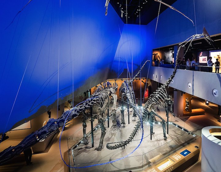 Dinosaurs in singapore at Lee Kong Chian Natural History Museum