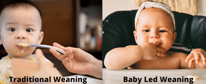 baby led weaning vs traditional weaning