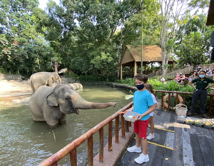 Singapore-zoo