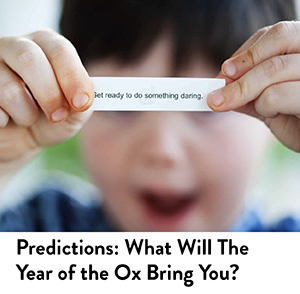 CNY Predictions