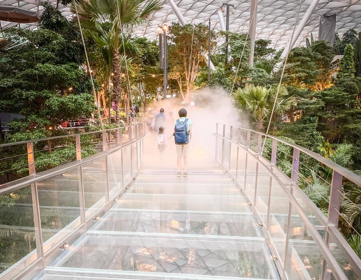 Jewel Canopy Park - Canopy Bridge